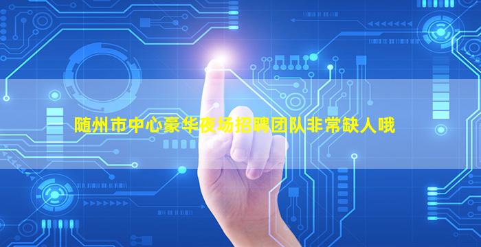 随州市中心豪华夜场招聘团队非常缺人哦